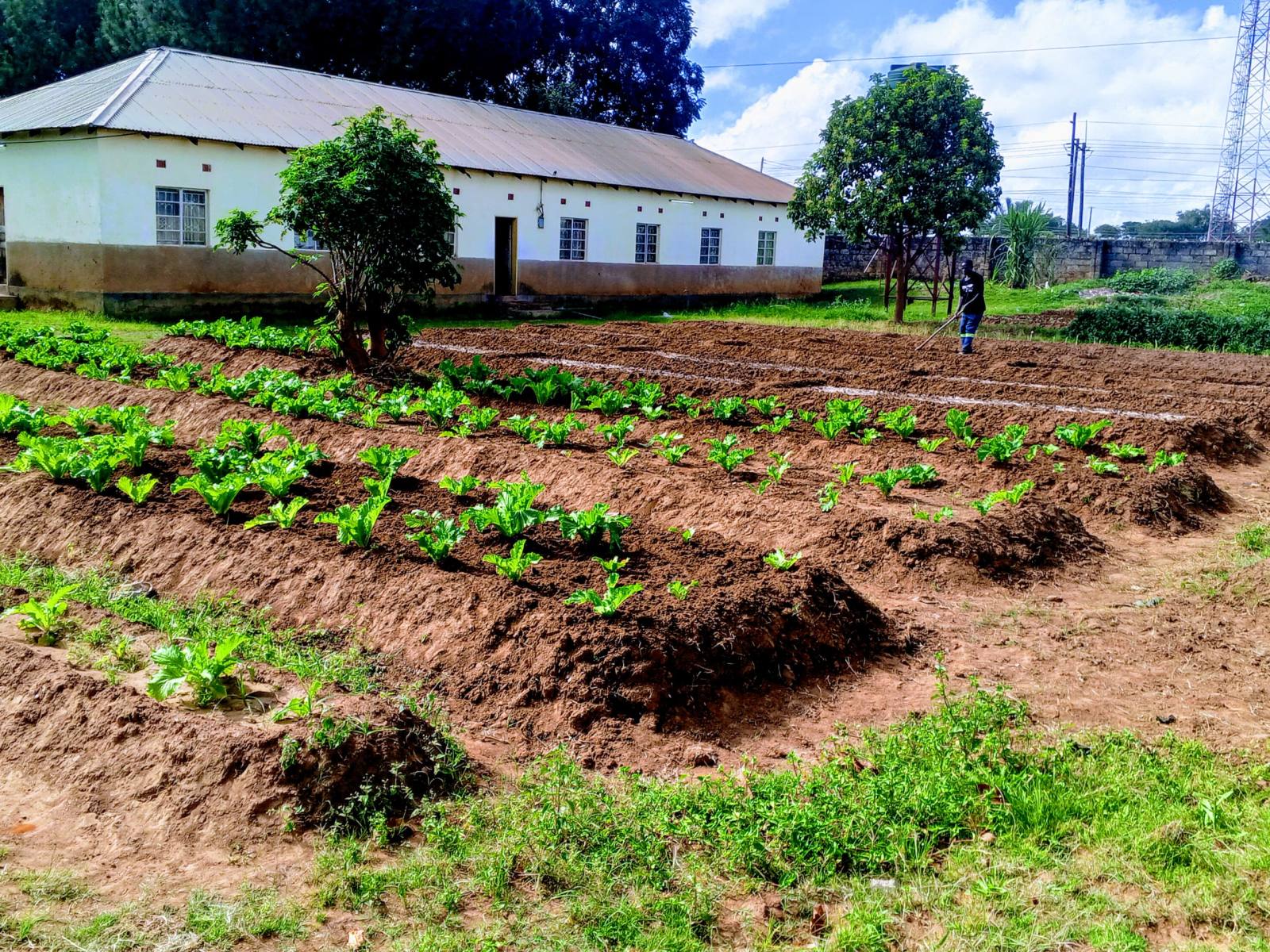 tetekela day care center - IMG-20260424-WA0008